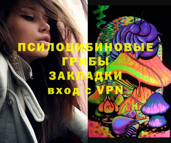a pvp Алексеевка
