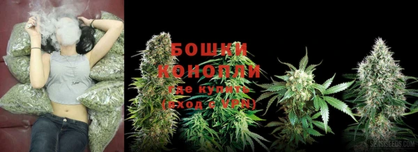 шишки Алексин