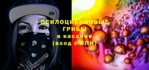 шишки Алексин