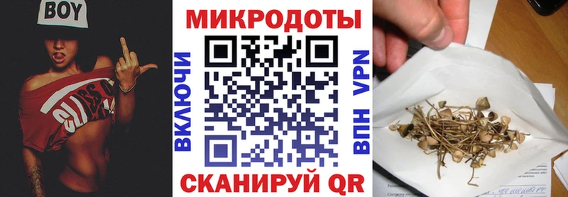 Псилоцибиновые грибы Psilocybe  купить  цена  Камызяк 